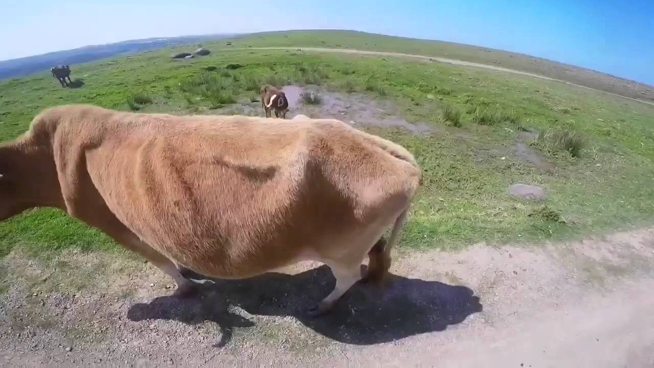 Mdumbi Transkei 2015