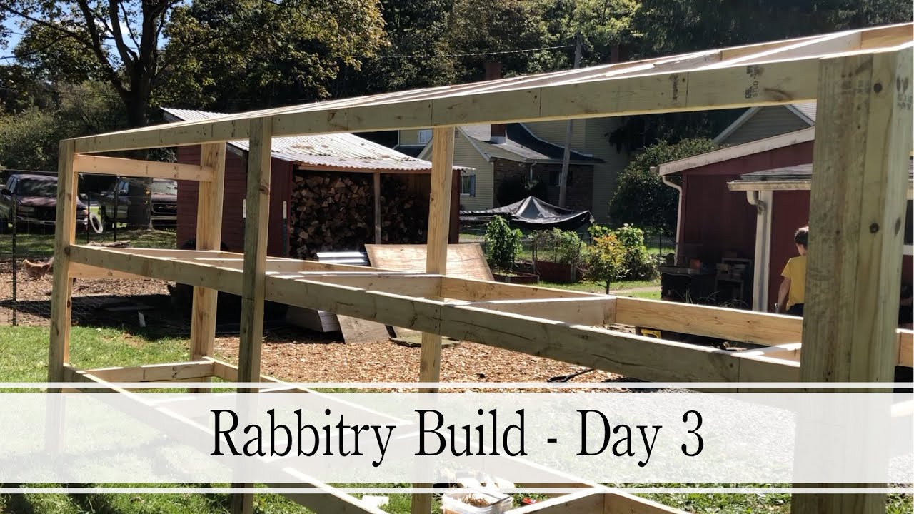 Assembling The Rabbit Hutch - Rabbitry Build Day 3