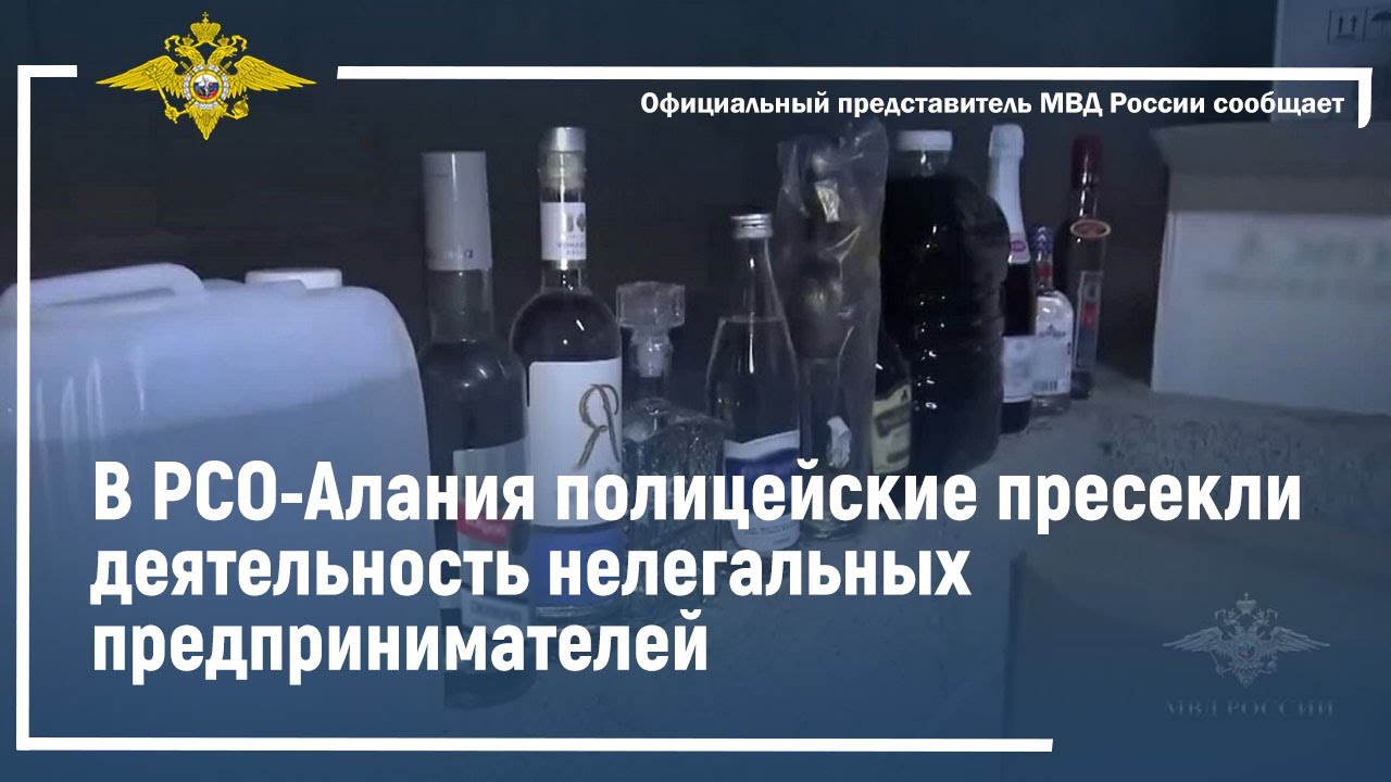 Ирина Волк: В РСО-Алания полицейские пресекли деятельность нелегальных предпринимателей