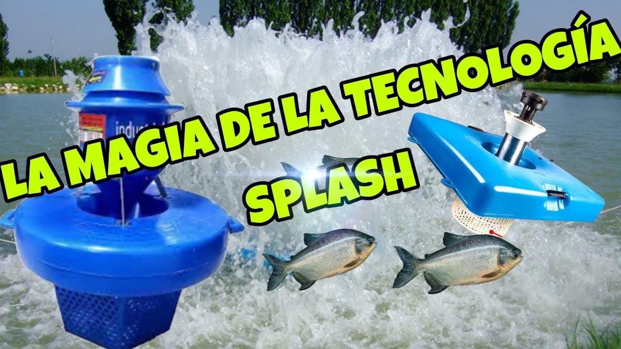 SECRETOS DEL AIREADOR TIPO SPLASH LO QUE DEBES CONOCER...