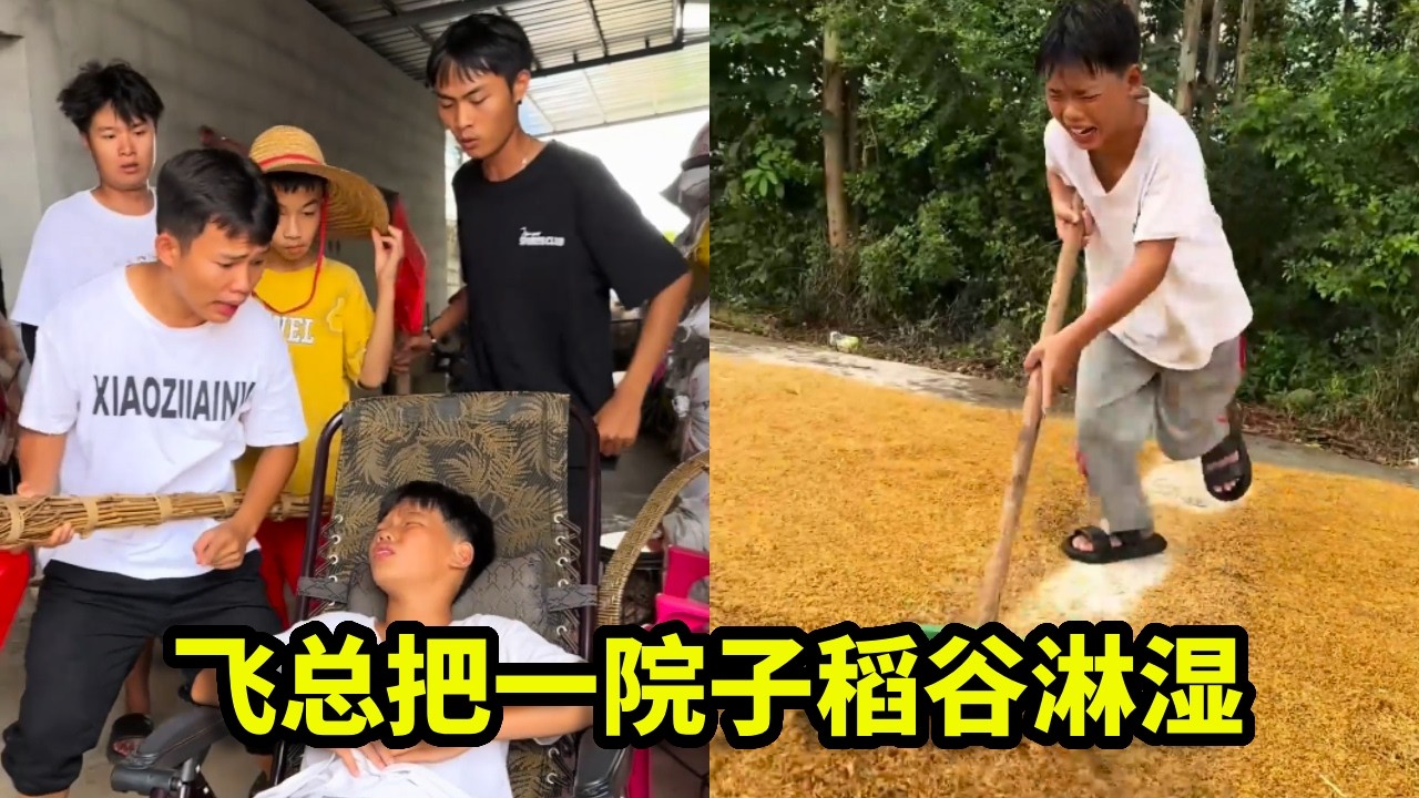 飞总不信会下暴雨，结果一院子稻谷被淋湿，哭着逃跑了【漏总飞总】