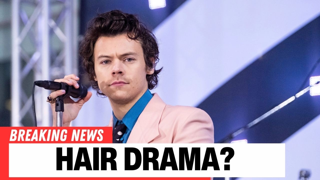 Harry Styles Proves He Can Laugh at Himself Over His Hair | Entertainment