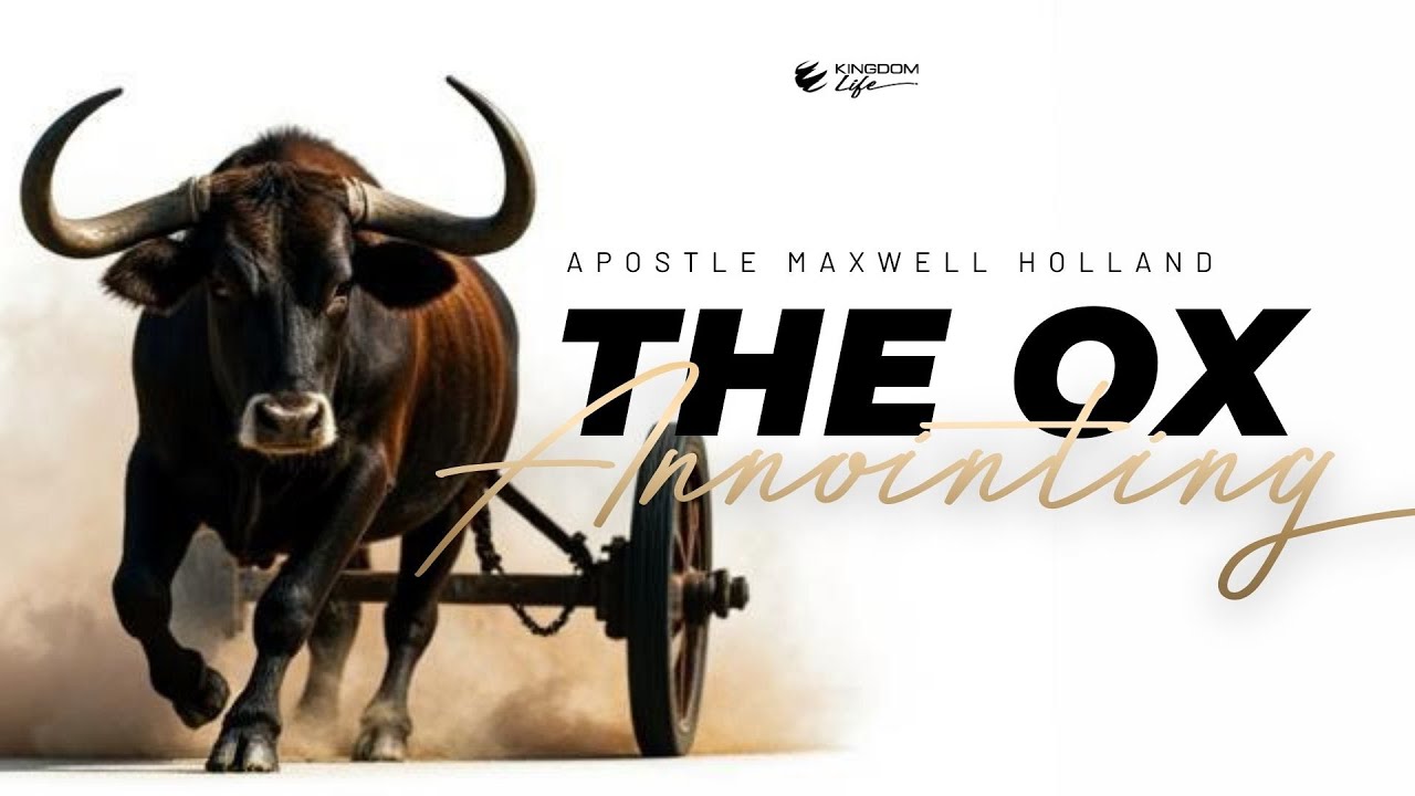 THE OX ANOINTING