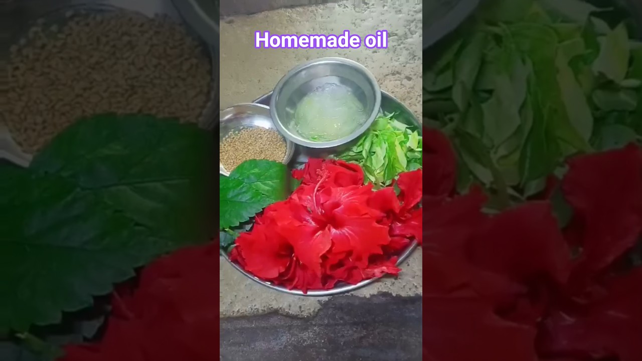 homemade oil#homemadeoil#hibiscus#hibiscusleaf#alovera#homemade#oil#sadharavikanti#viral#shortsviral