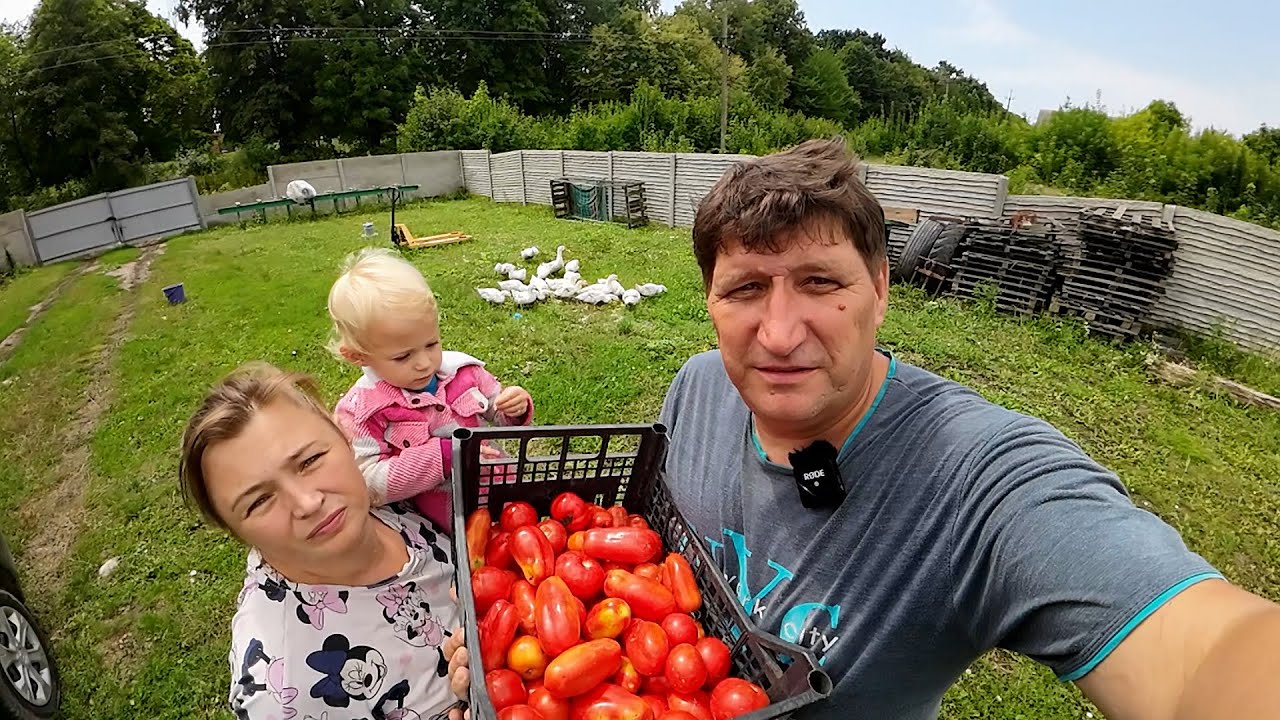 Качки 