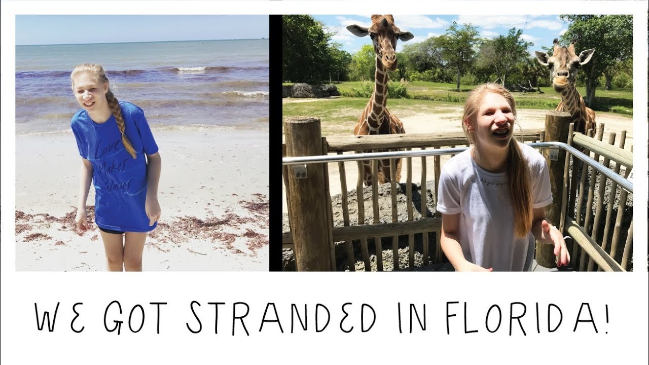 ADVENTURES IN FLORIDA -- FOLLOW US AROUND! 🌴🌞🌊🦒