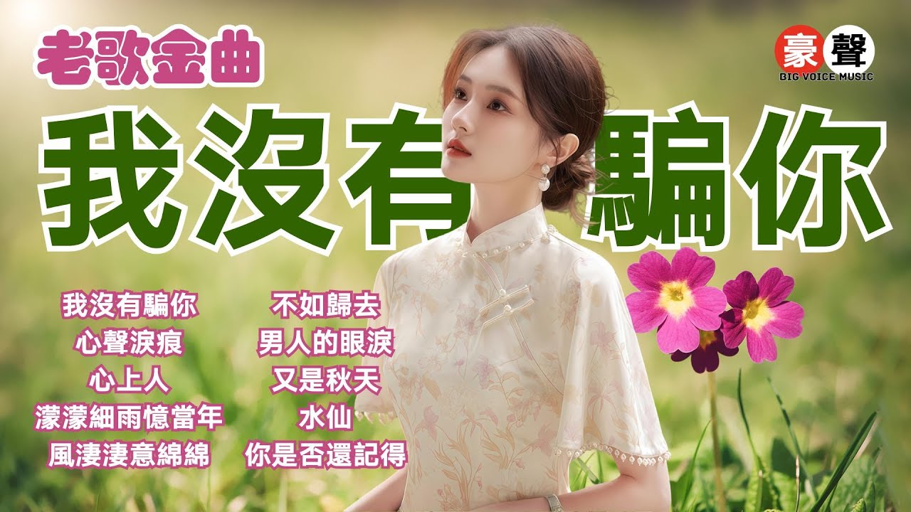【老歌金曲】我沒有騙你丨心聲淚痕丨心上人丨濛濛細雨憶當年丨風淒淒意綿綿丨不如歸去丨男人的眼淚丨又是秋天丨水仙丨你是否還記得 Mandarin Oldies (歌詞版)
