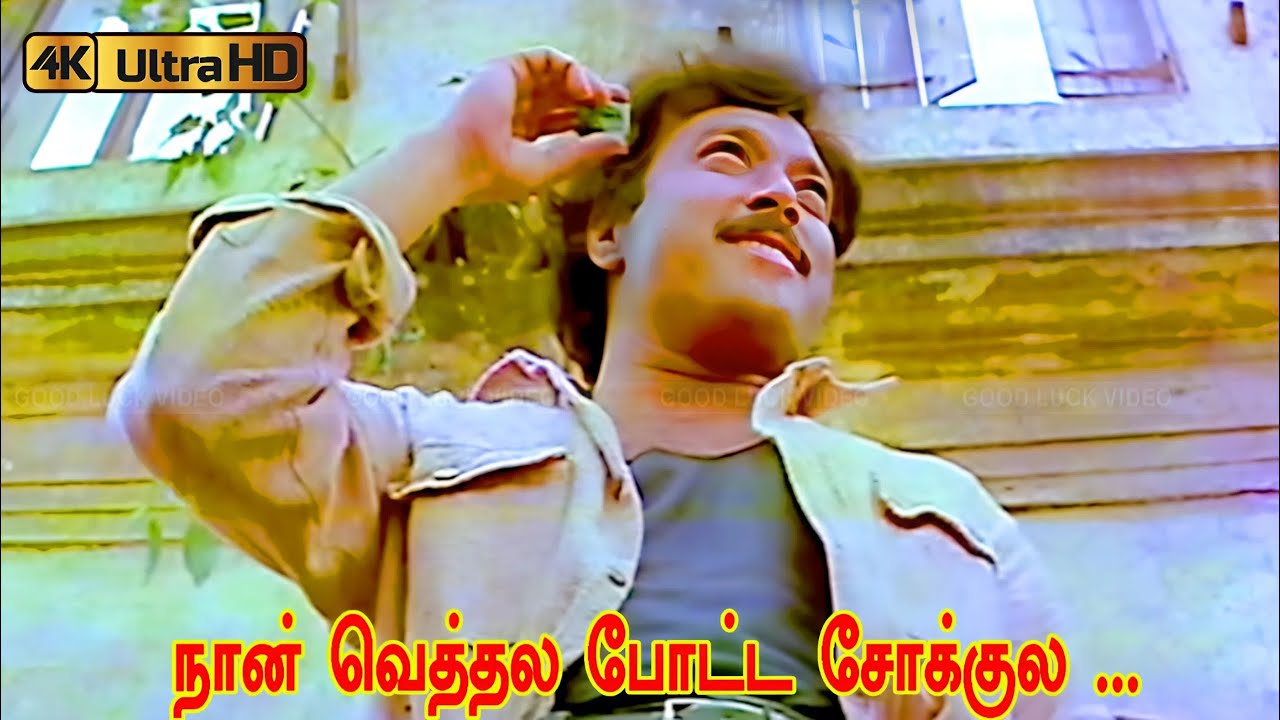 நான் வெத்தல போட்ட சோக்குல பாடல் | vethala potta sokkula song | Adithyan | Karthik  super song .