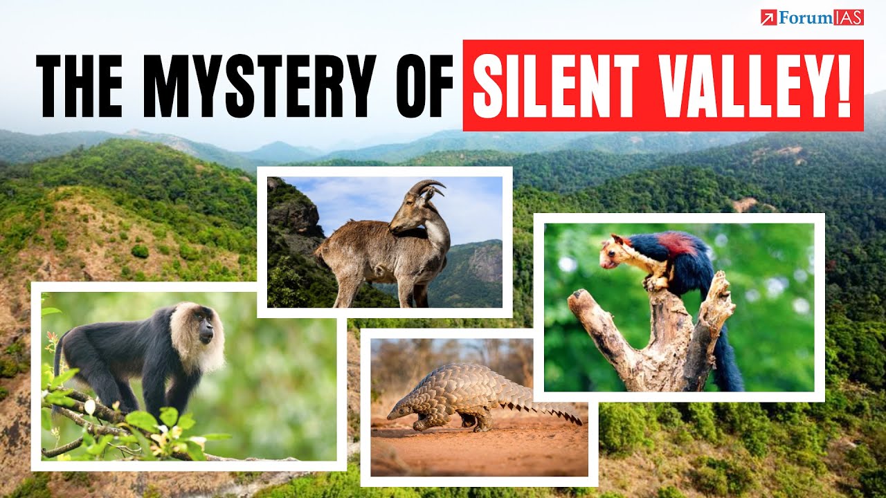 The Silent Valley Uprising: How a Forest Defied a Dam and Awakened a Nation!