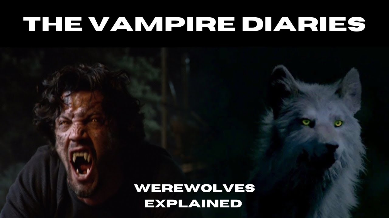 Объяснение оборотней — существа из «Дневников вампира» и «Древних»