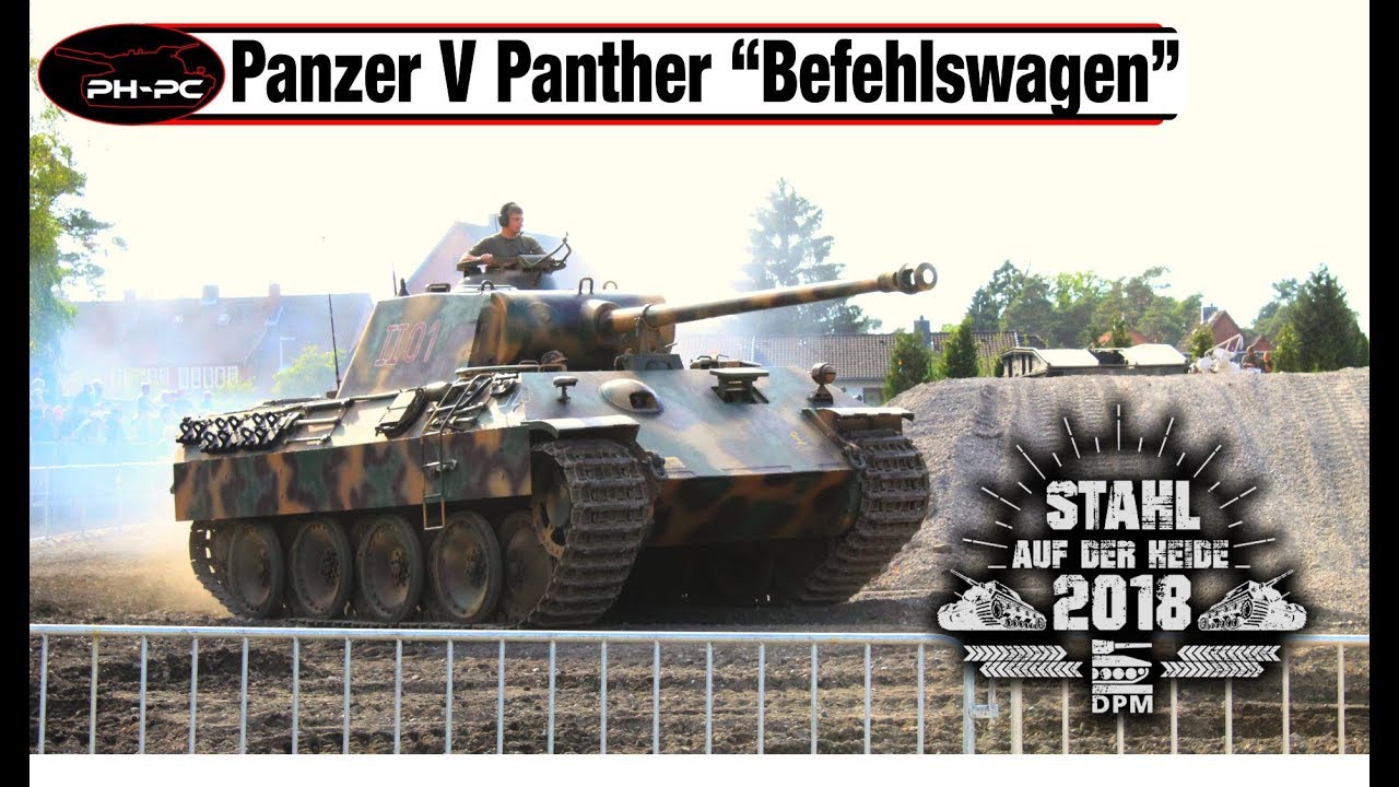 Panther 