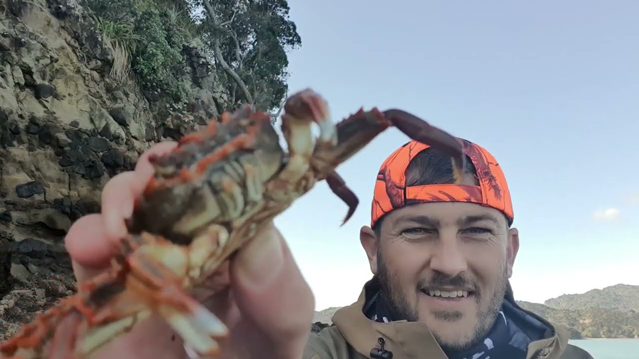 CRAB Catch & Cook   Testing my new CRAB POT   Manukau Harbour