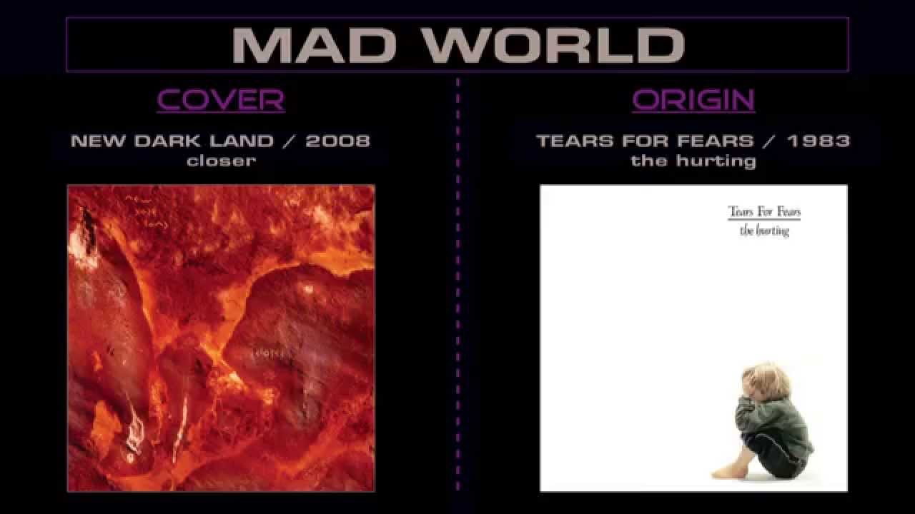 Mad world - Tears For Fears - NDL [ FAN COVER ]