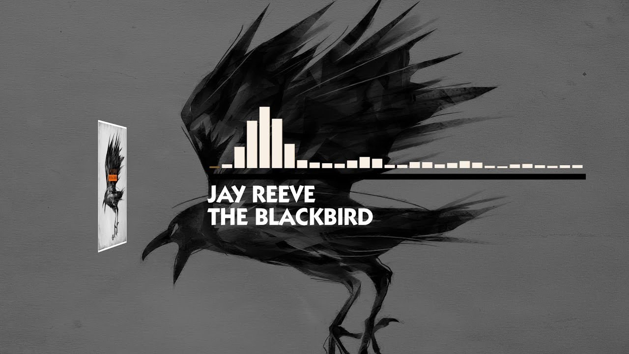 Jay Reeve - The Blackbird