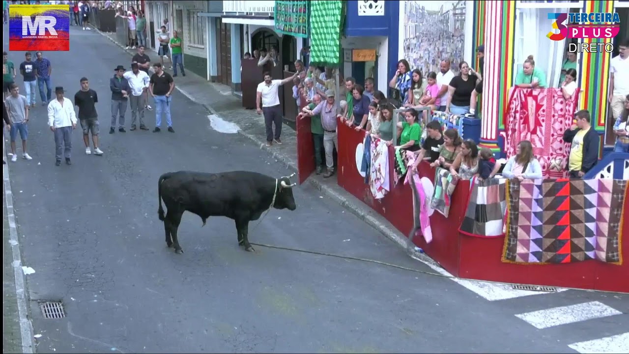 TOURADA Á CORDA - RUA DA IGREJA - RIBEIRINHA