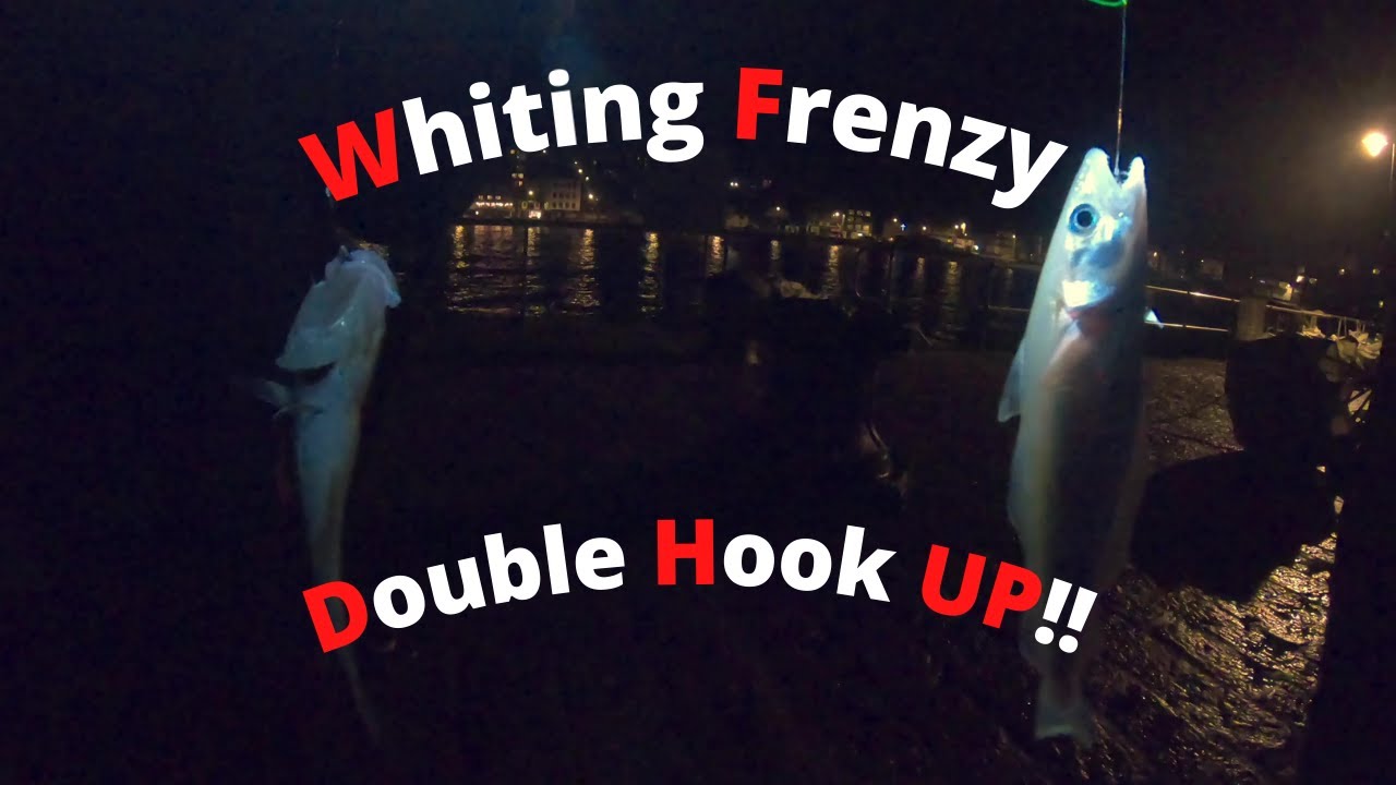 Pier Fishing - Whiting Frenzy! (Sea Fishing UK) Top Trending Fishing Video 2021