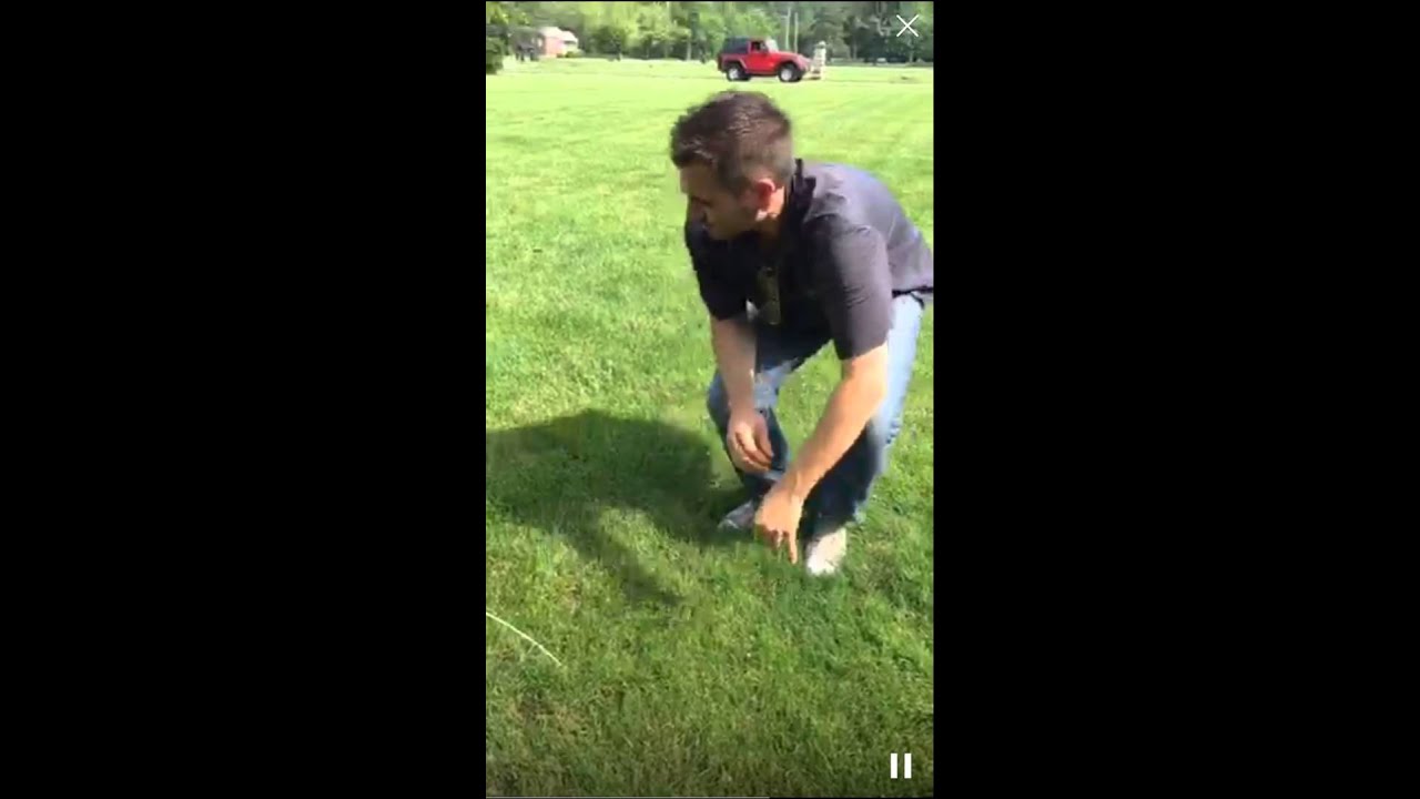 Common Ohio Lawn Problems
