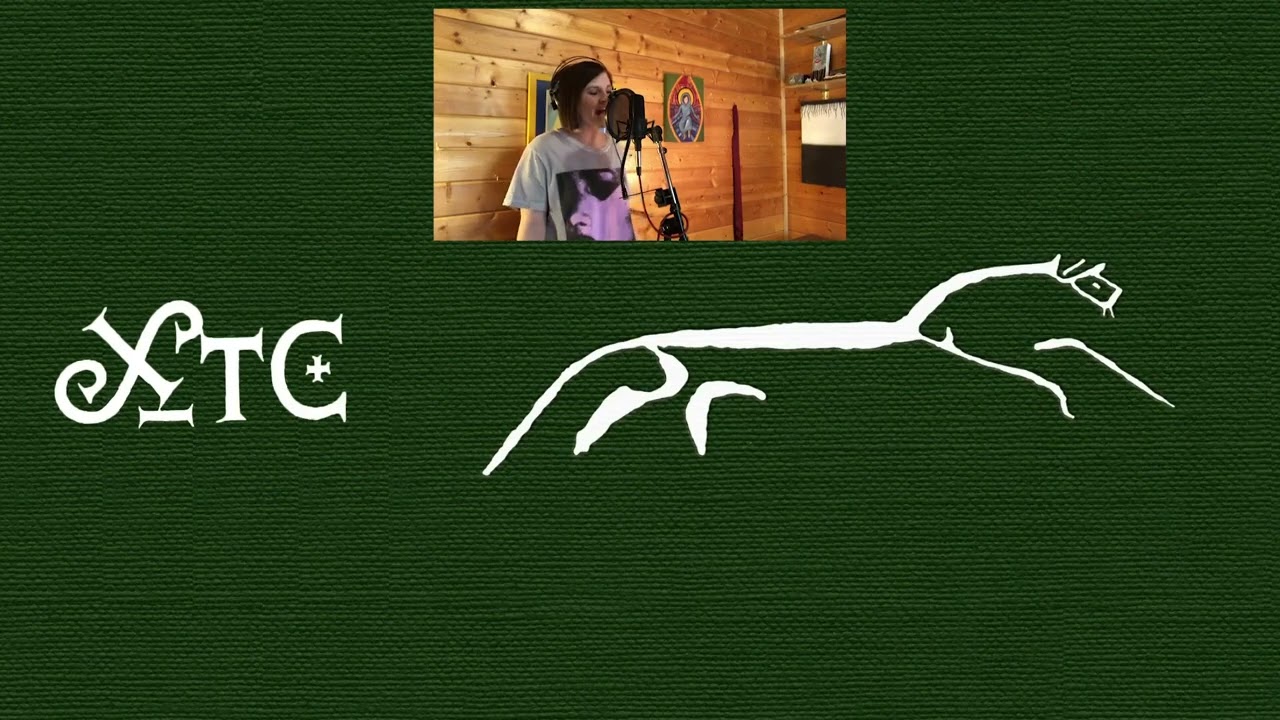 Senses Working Overtime by Senses Working Overtime The XTC Tribute