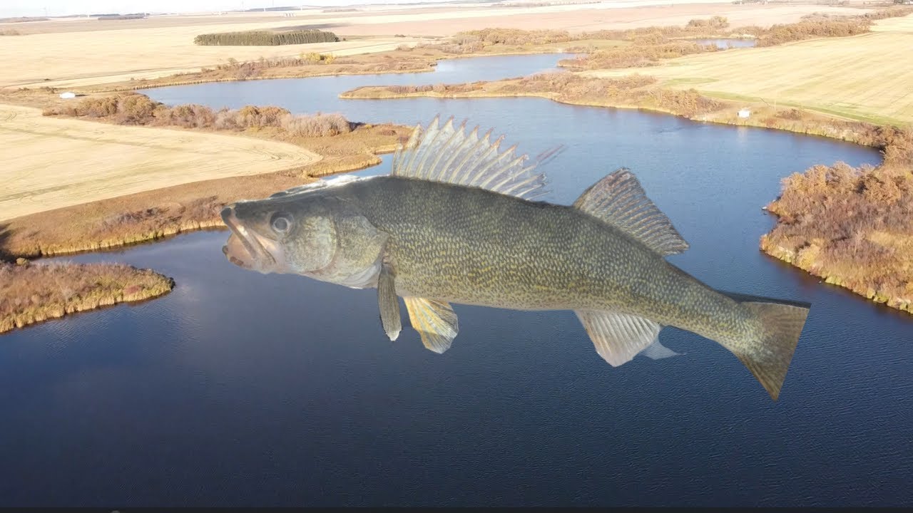 Fall Walley and Crappie fishing