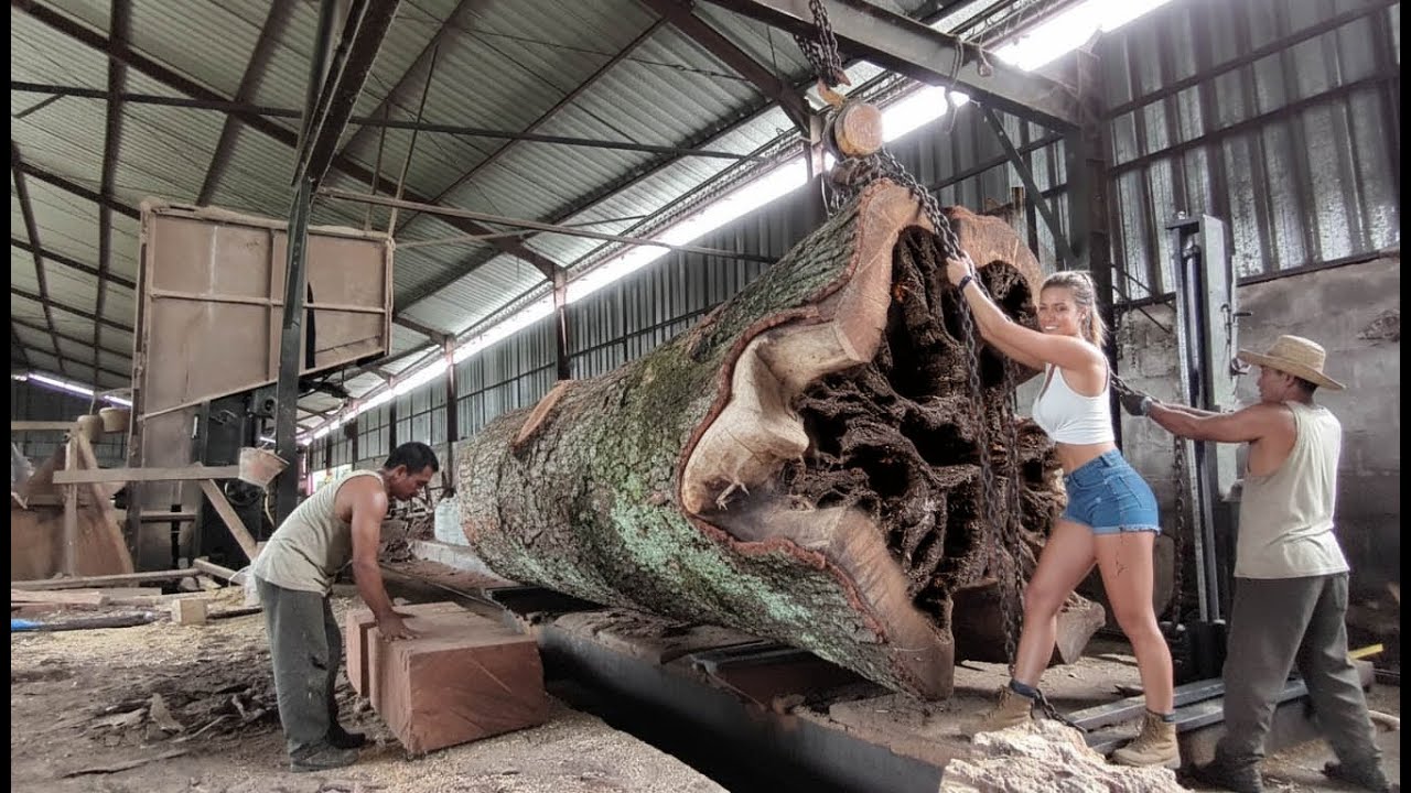 LIFE THREATENING SAWSMILING‼️Only this Sawmill dares to cut this wood