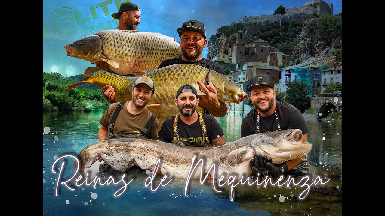 CARPFISHING   REINAS DE MEQUINENZA