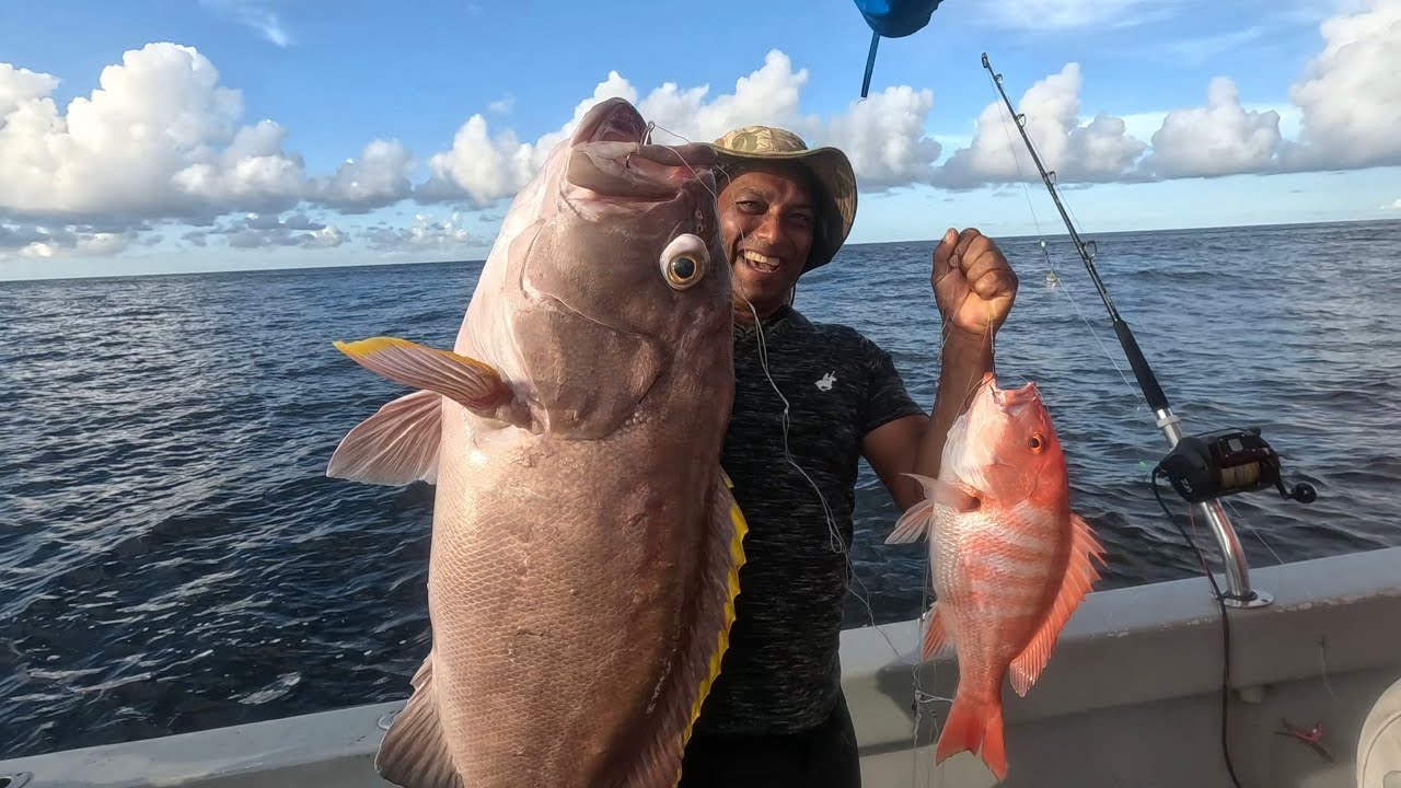 Searching for Big American Snapper and Grouper on the North Coast, Trinidad ! 