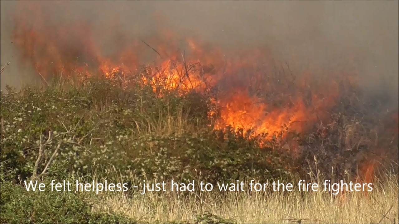 Burnham and Berrow golf course fire August 2018
