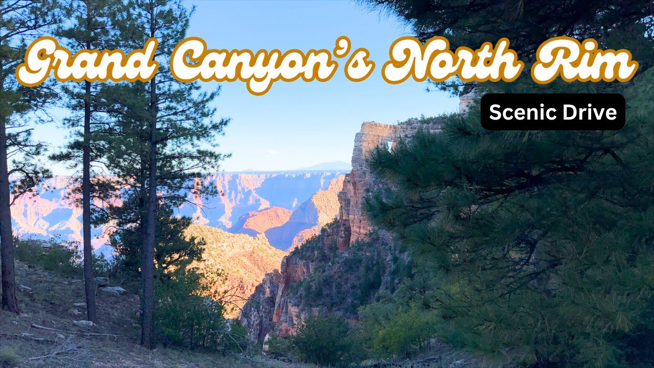 Grand Canyon's HIDDEN GEM: The North Rim ~ Scenic Forest Drive
