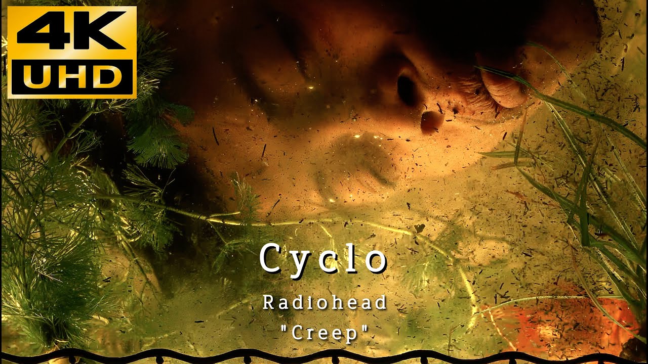 Cyclo (1995) MV &bull; 