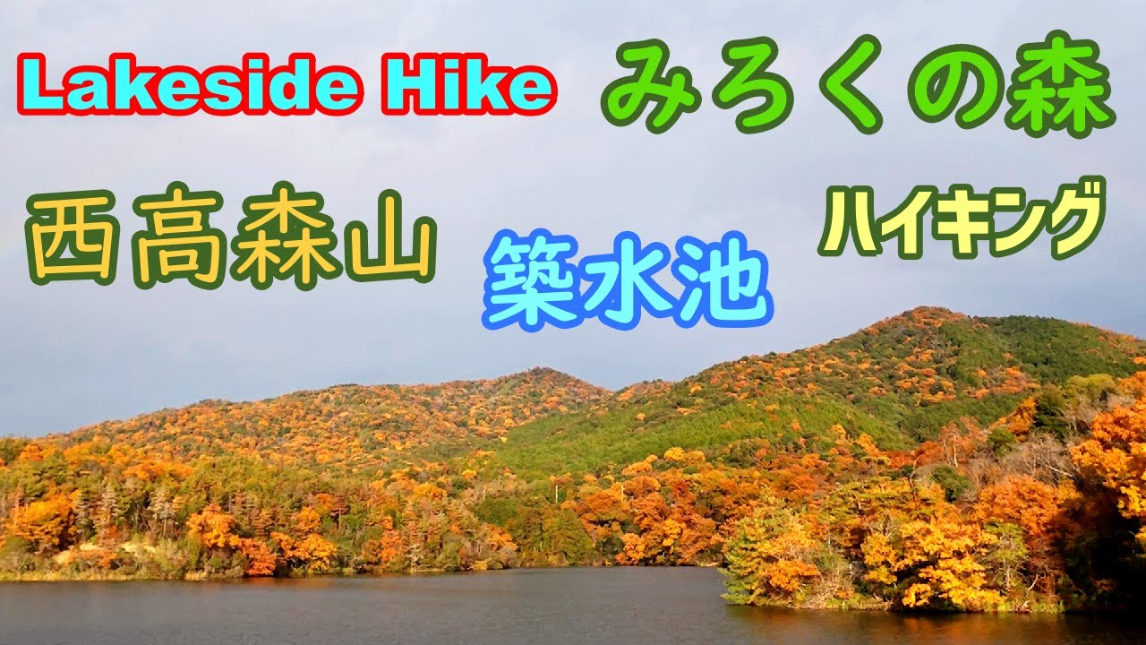 紅葉さんぽ  みろくの森【築水池と西高森山】Autumn Leaves Walk in Miroku Forest  / Kasugai,Aichi,Japan