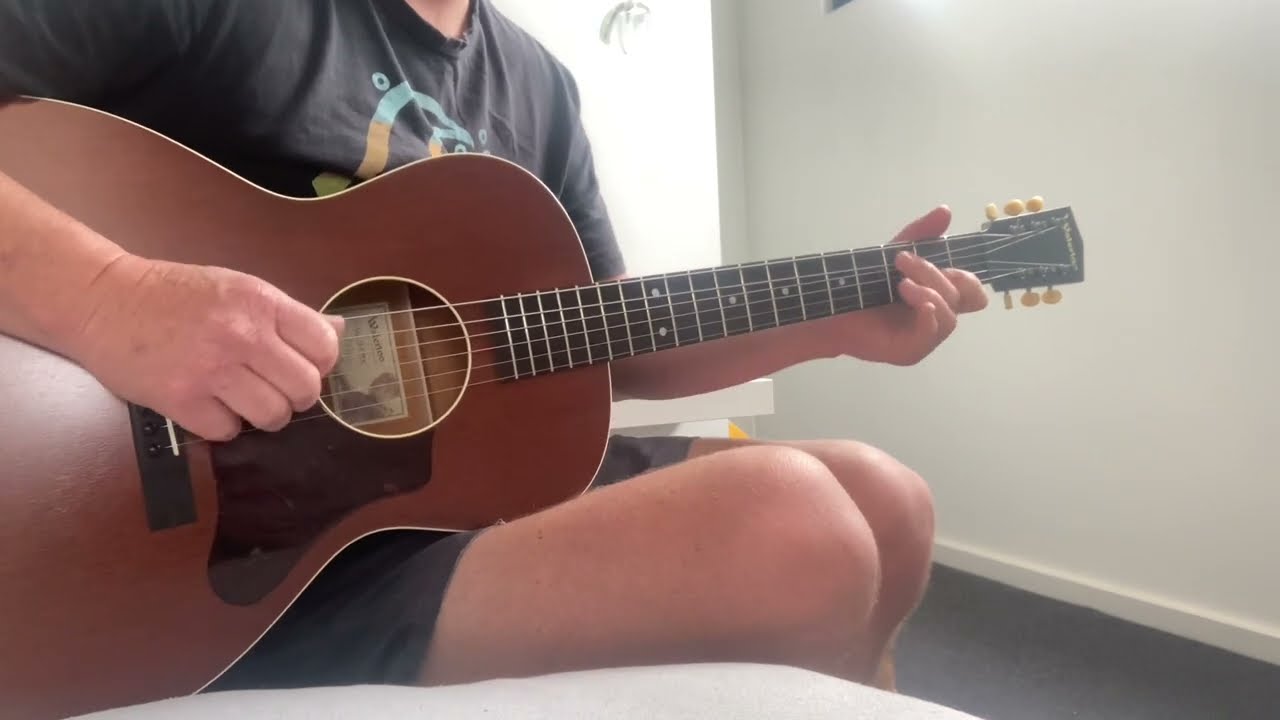 Blues Ain’t Dry, Stefan Grossman cover
