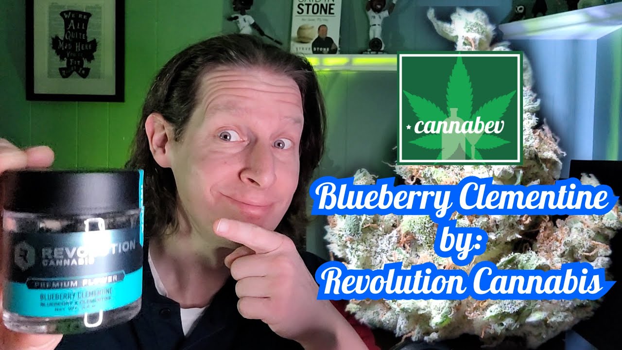 Revolution Cannabis Blueberry Clementine - Illinois Cannabis Review