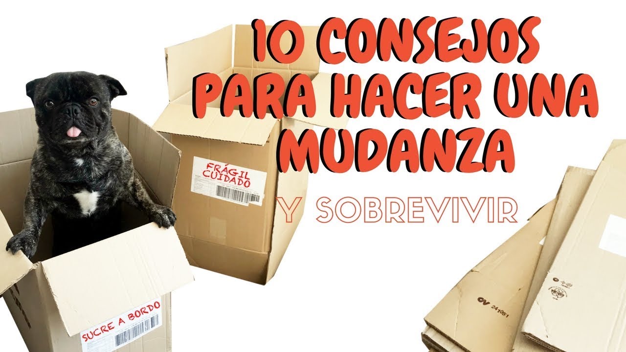 10 CONSEJOS PARA SOBREVIVIR A UNA MUDANZA | Nuestra séptima mudanza