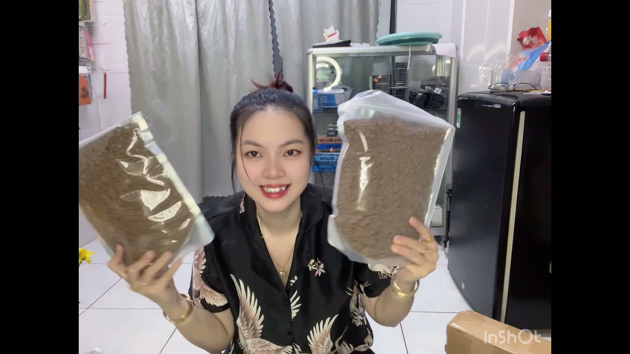 Lần Đầu Trải Nghiệm Nuôi Mèo Và Những Món Đồ Cần Thiết Cho Mèo.