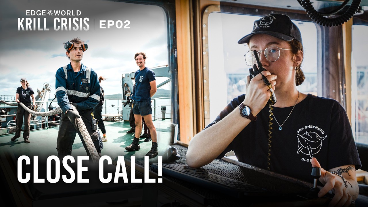 Переломный момент для организации Sea Shepherd в Антарктиде | Край света: Кризис криля | EP2