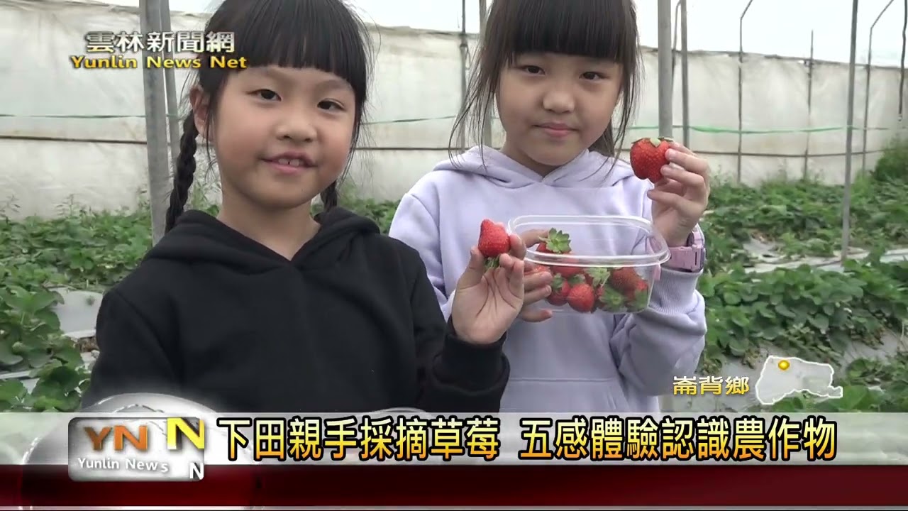學童體驗「莓」好生活 感謝農民珍惜食物 雲林新聞網