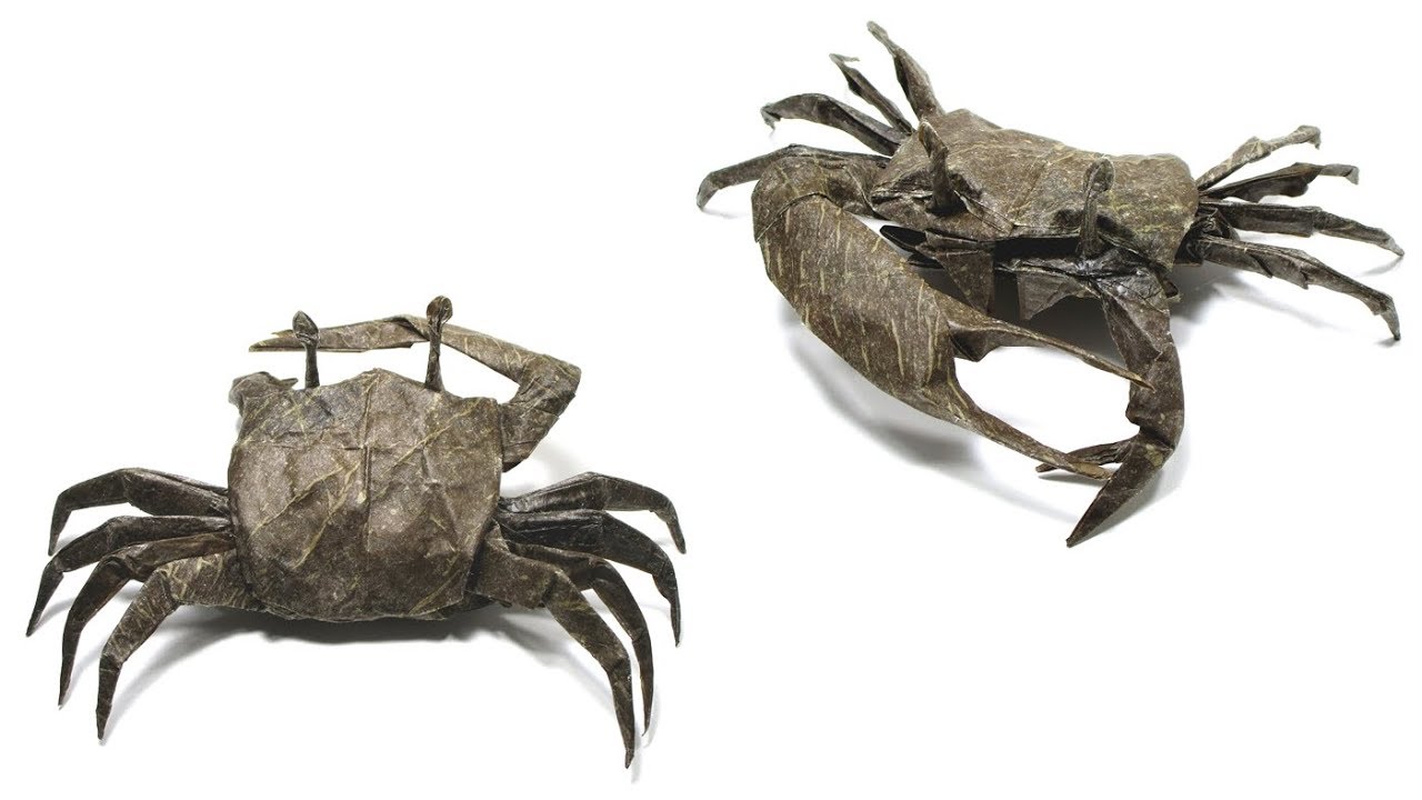 ORIGAMI FIDDLER CRAB TIME LAPSE (Satoshi Kamiya) 折り紙  シオマネキ