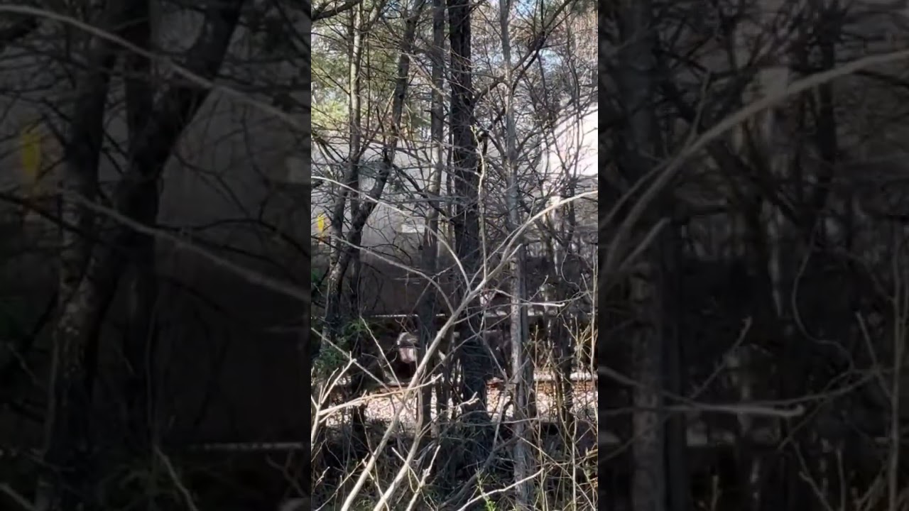 CSX 6900 switching in Fairburn, Ga!!