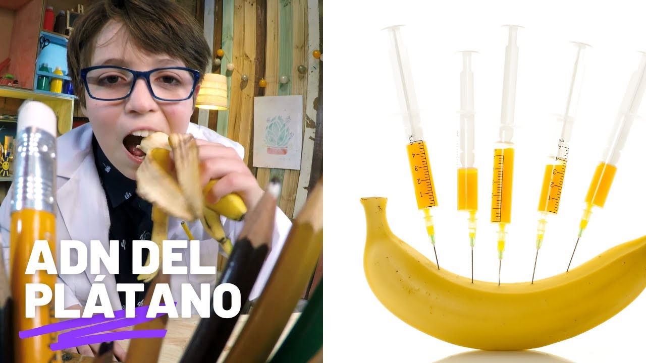 ADN del plátano: Experimentos y manualidades ¡Yo lo puedo hacer!