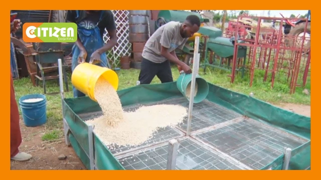 | AKILI MALI | Mjasiriamali katika eneo la Nanyuki avumbua mashine ya kukausha nafaka