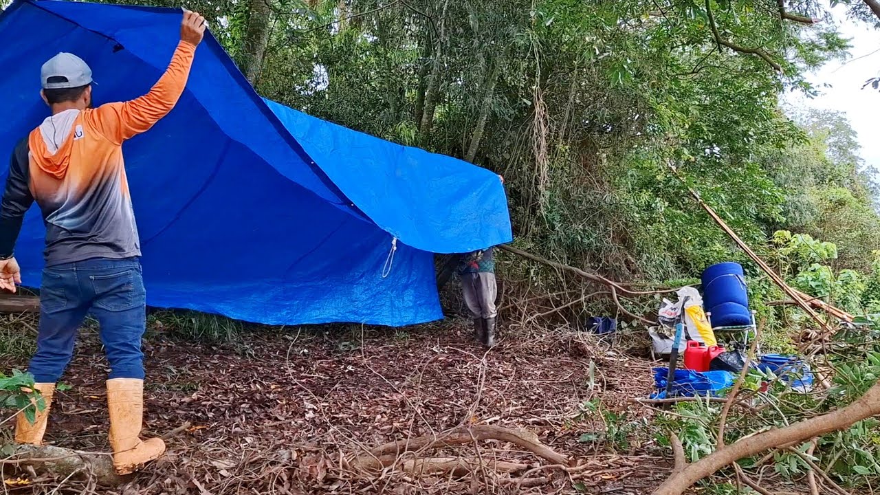 ACAMPAMENTO RAIZ NO MEIO DA MATA COM PESCARIA DE BARRANCO , PESCAMOS E FIZEMOS PEIXE FRITO/PESCARIA.