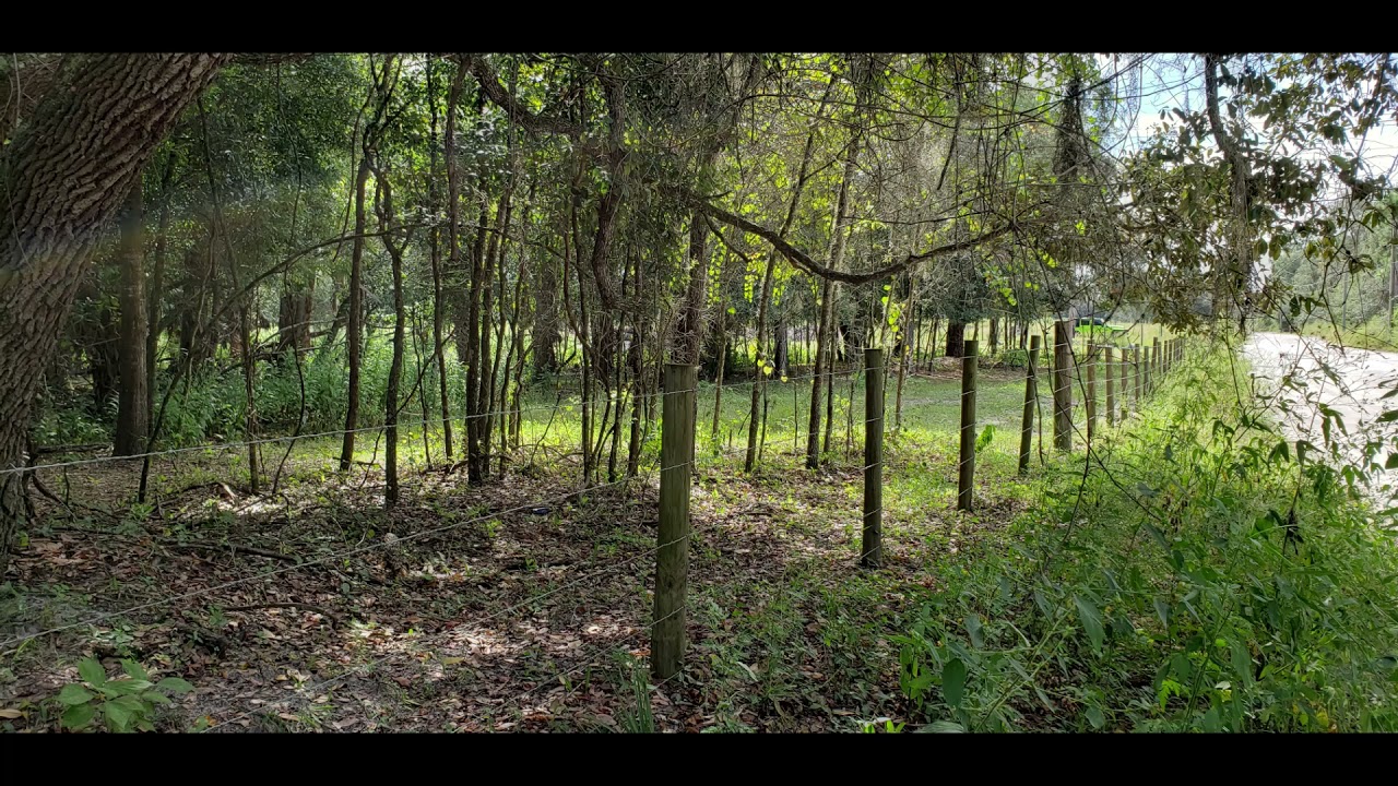SOLD 10 Acres of Land For Sale in Hudson Florida on Family Trail