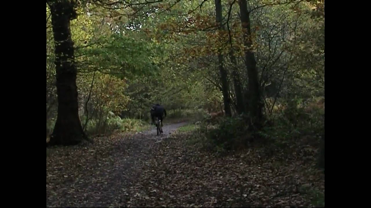 Swithland Wood Charnwood Forest Leicestershire in Autumn