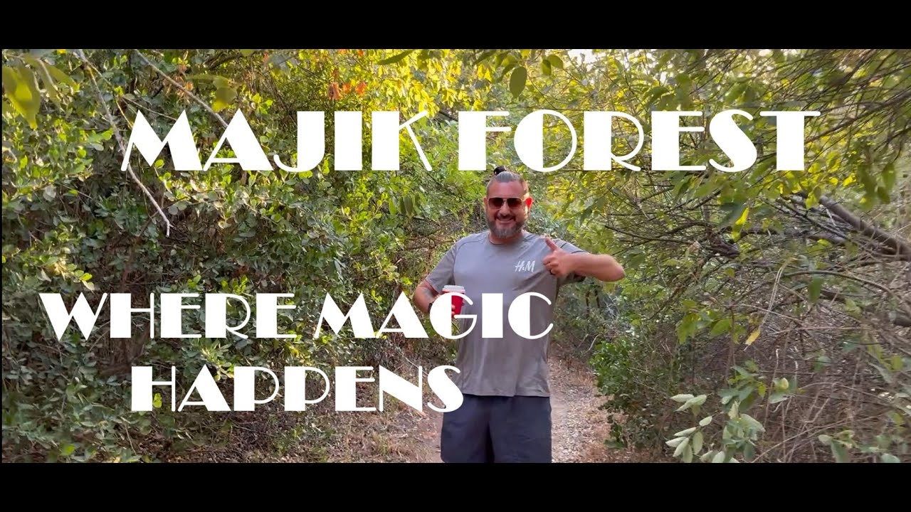Magical Majik Forest
