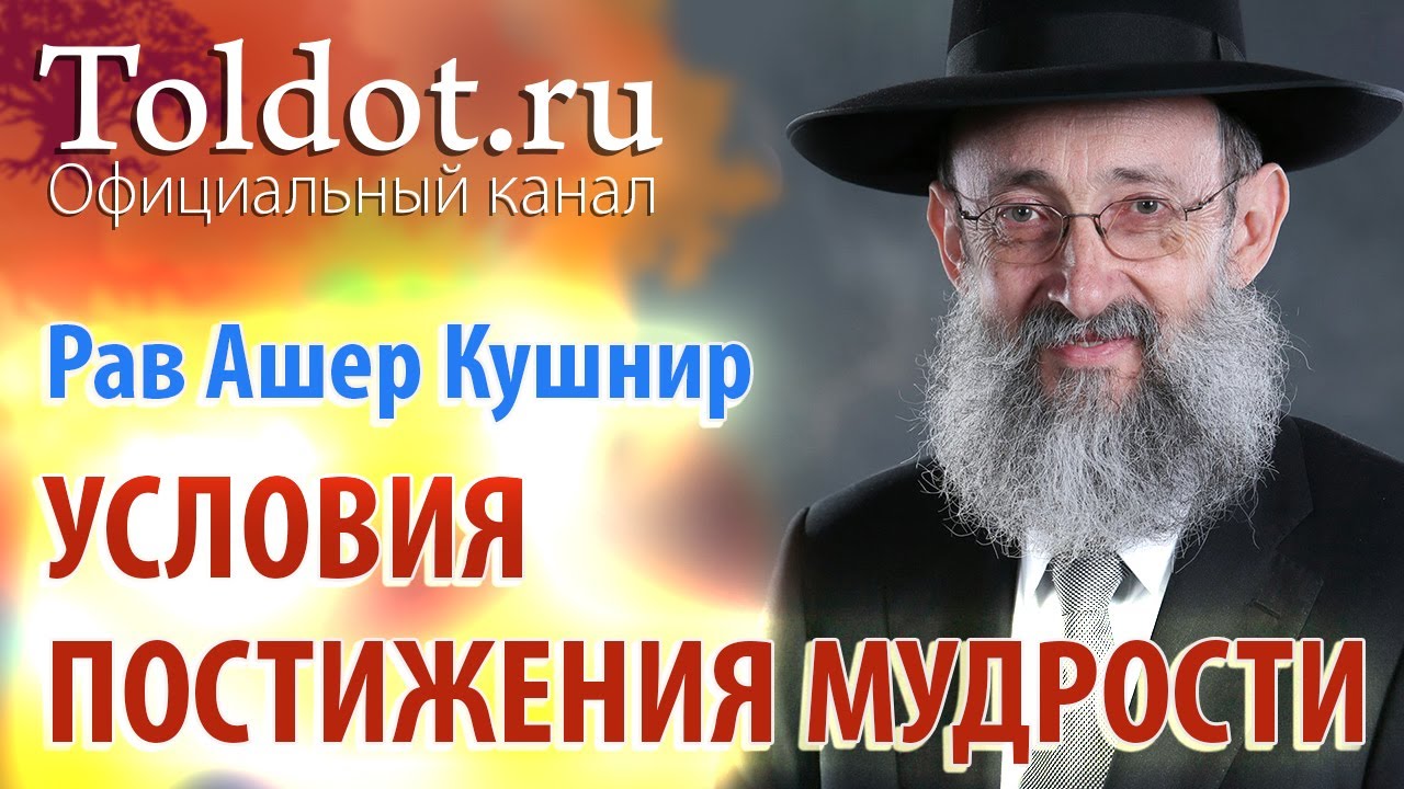 Рав Ашер Кушнир. Условия постижения мудрости. Месилат Йешарим 4