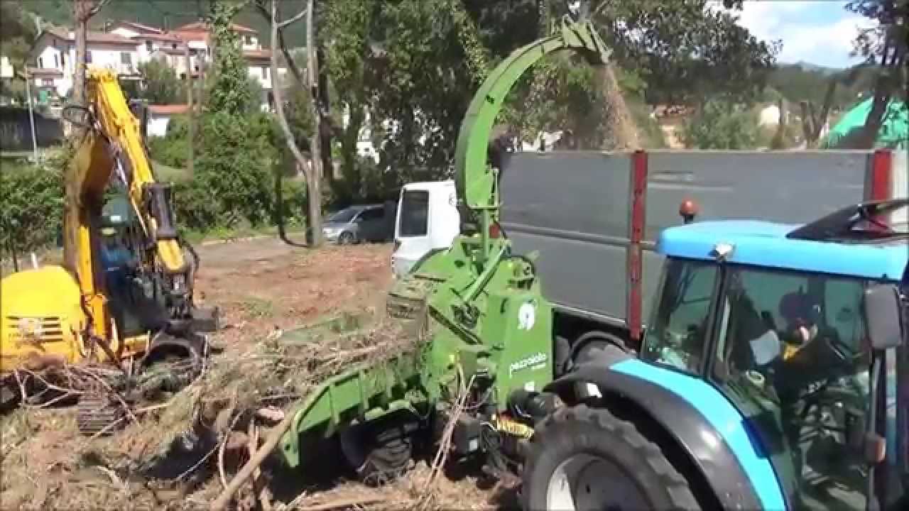 PTH 700 G Pezzolato drum wood chipper powered by LANDINI 160 Hp tractor