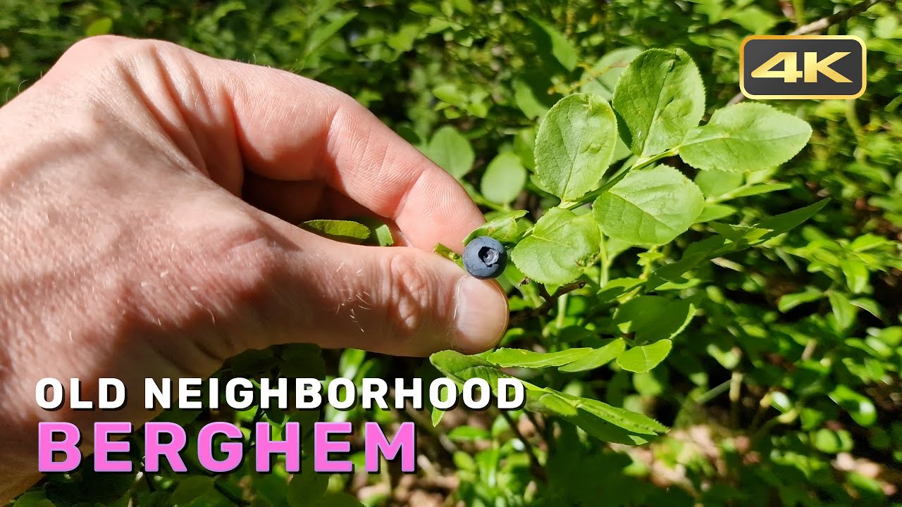 Walking around my old neighborhood in Berghem/Jakobsberg (Sweden) (2022) | 4k