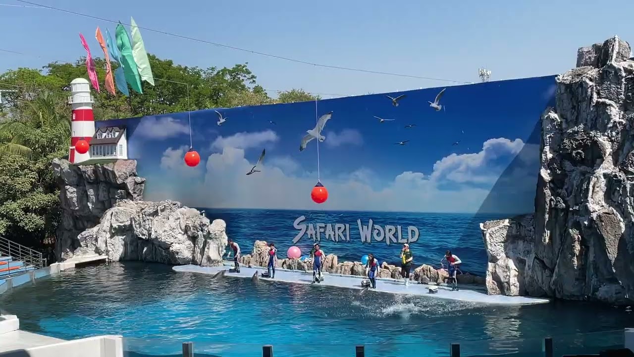 Dolphin Show at Safari World Bangkok 🐬 | Must Watch Thailand Attraction