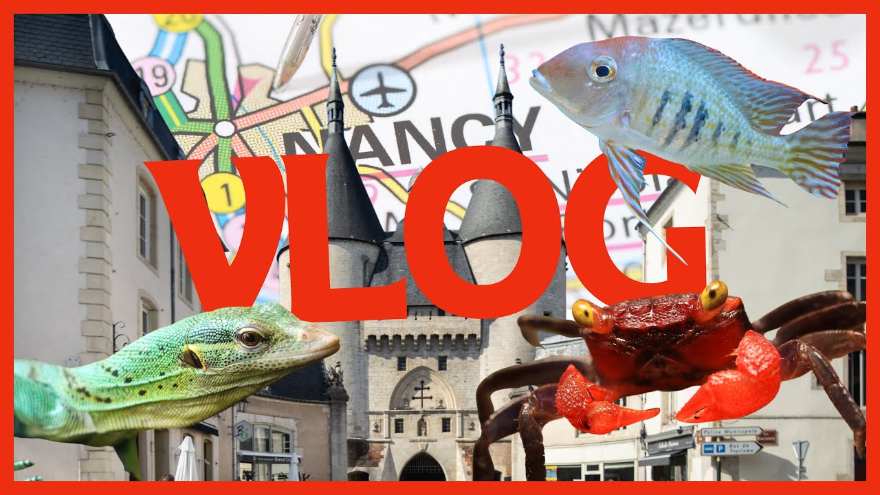 UN WEEK-END AVEC MOI 🐠 | Serre aux poissons, varans et nouveaux arrivants ! Vlog #1