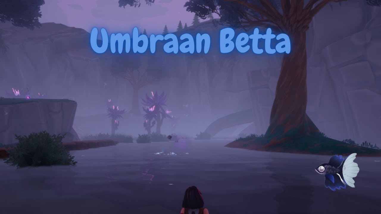 Umbraan Betta | Palia